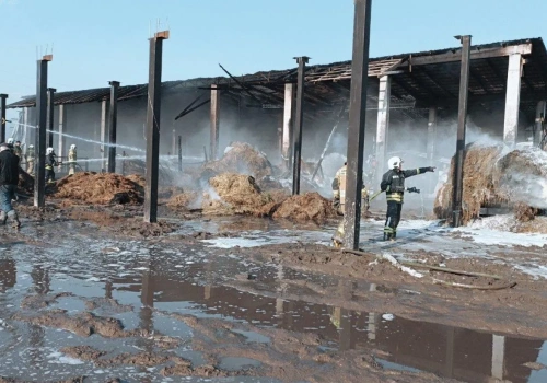 W jednej chwili stracił kilkadziesiąt sztuk bydła. Pożar obory na Podlasiu