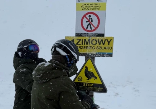 Część szlaków w Karkonoszach zamknięta. To dla ochrony rzadkich ptaków