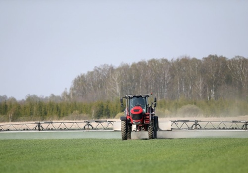 Gavial 375 SC – gotowa mieszanina do oprysku na opadanie płatka w rzepaku