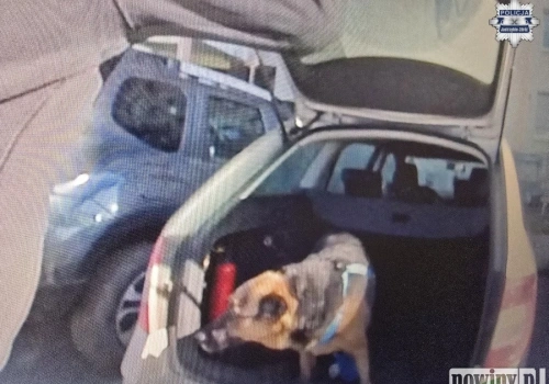 Zostawił psa w aucie po nocnej zmianie. Interweniowali policjanci