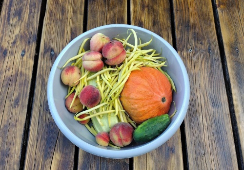 Popiół drzewny w ogrodzie: jak i co nawozić. Czy poprawia strukturę gleby?