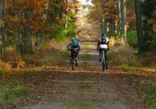 Poznaj 5 rowerów trekkingowych gotowych na każdą trasę
