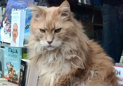 Był ulubieńcem warszawiaków. 