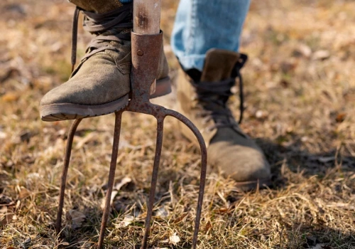 Nie przekopuj grządek na wiosnę. Ten jeden zabieg sprawi, że ziemia będzie żyzna przez cały sezon