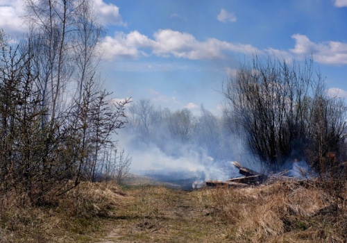 Za to można stracić dopłaty. Policja ostrzega, a mandaty sięgają 30 tys. zł