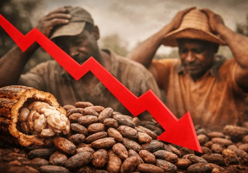 Kurs kakao pod presją! Rolnicy alarmują, a kupujących brakuje