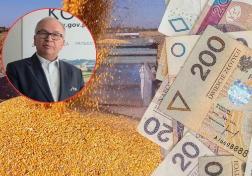 „Nic bardziej mylnego”. KOWR: rolnicy mogą stracić pieniądze