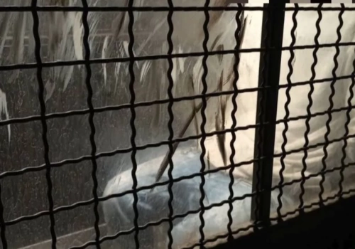 Znęcał się nad matką. 31-latek z zakazem zbliżania się