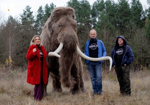 Poznajcie historię czaszki mamuta włochatego z Bzianki i zobaczcie jego pełnowymiarową rekonstrukcję
