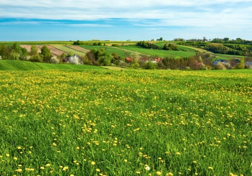Rytuały na pierwszy dzień wiosny. Wierzono, że przynoszą szczęście