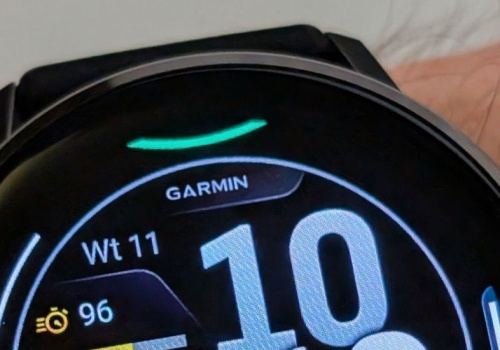 WhatsApp już na zegarkach Garmin. Kto skorzysta?