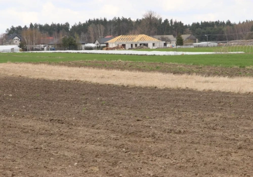 Ceny dzierżawy ziemi w górę. Gdzie czynsze są najwyższe?