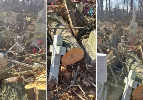 Brzeski subotnik, który zamienił Cmentarz Tryszyński w pobojowisko