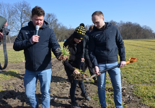 Rzepak, zboża i ziemniaki pod lupą BASF – technologie i odmiany na lepsze plony