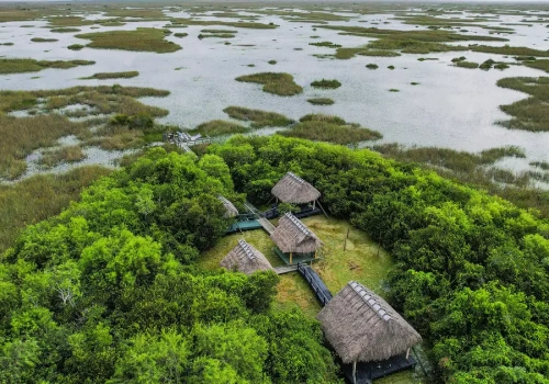 Trump i Indianie. Jak prezydent USA traktuje tubylczych Amerykanów