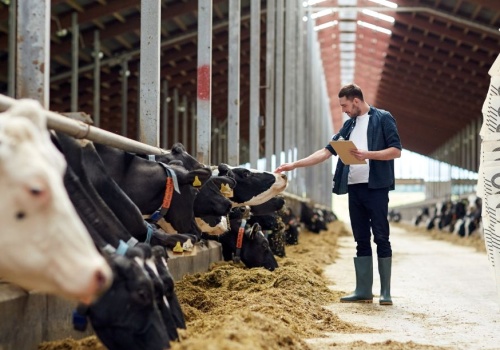 Premia dla młodych rolników 2026: warunki decydują o pieniądzach