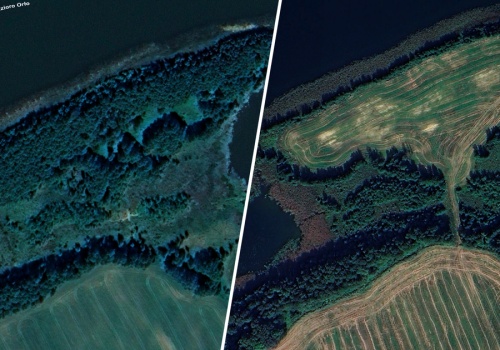 Wyciął 1570 drzew na terenie obszaru chronionego na Mazurach. Sąd go uniewinnił