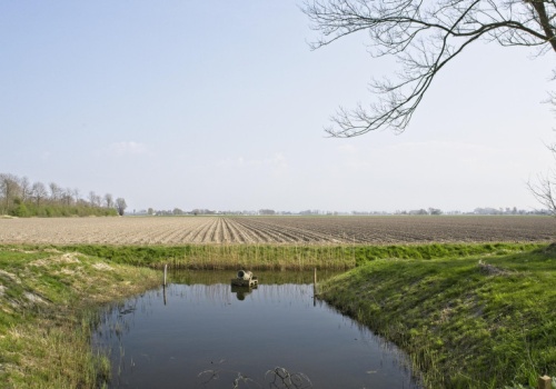 Prawie 300 hektarów do dzierżawy z KOWR. Taka oferta w woj. lubelskim to rzadkość