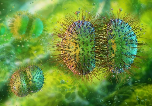 Epidemia zapalenia opon mózgowych. Zmarły dwie osoby. „Bezprecedensowe wydarzenie”