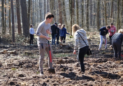 „Posadź swoje drzewo” – Nadleśnictwo Lubartów zaprasza do wspólnego sadzenia lasu