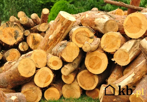 Grzeje jak grab, a kosztuje 30% mniej. To drewno staje się hitem w polskich kominkach