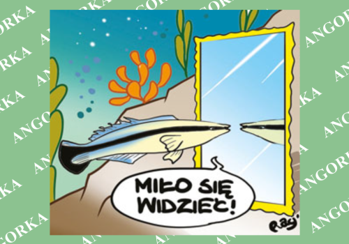 Samoświadome rybki. Wargatek potrafi rozpoznać siebie w lustrze