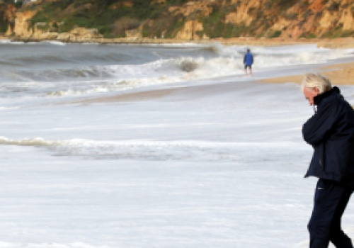 Na plaży znaleziono skamieliny kości różnych zwierząt sprzed 10 mln lat