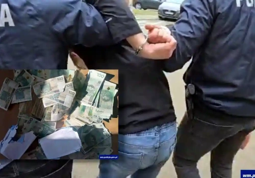19-latek i 22-latek w rękach policji. Okradli seniorkę na 136 tys. złotych