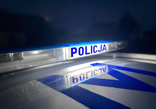 Groza przy lesie! 66-latek podpalił trawy i ruszył z widłami na strażaków