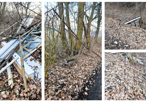 Smutne obrazki z rezerwatu Łężczok