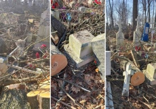 Urzędnicy z piłami spustoszyli historyczny cmentarz w Brześciu