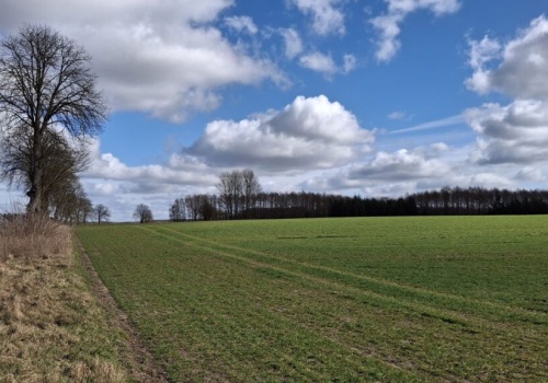 Polska po nietypowej zimie. Naukowcy mówią o ryzyku dla plonów