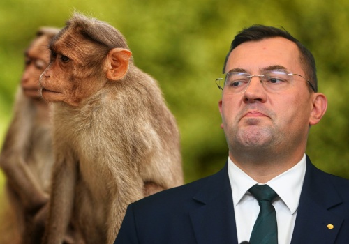 Afrykańscy delegaci wyzywani od 