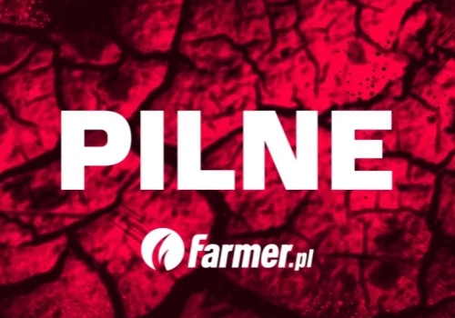 Urugwajska wołowina z hormonami trafiła do Polski