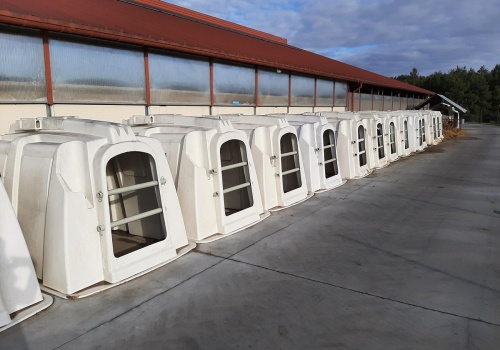 Dobrostan 2025: kluczowe terminy i dokumenty. Spóźnienie może kosztować dopłaty