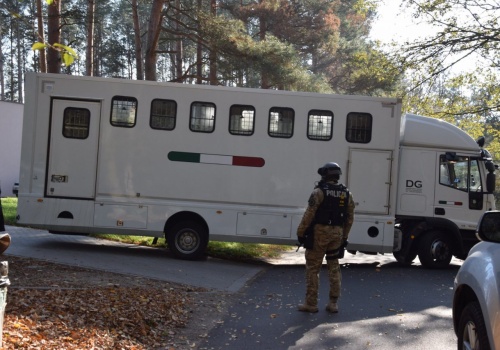 Przewożone do Rosji tygrysy były w fatalnym stanie. Jest wyrok w sprawie feralnego transportu zwierząt