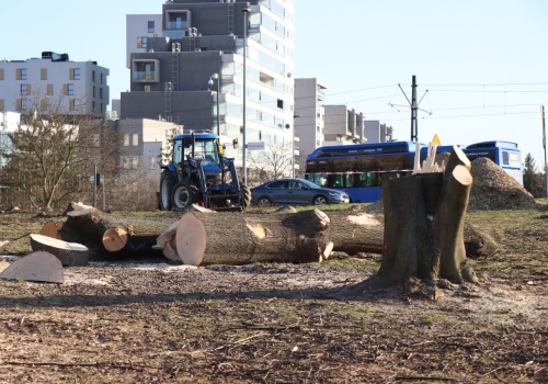 Piły poszły w ruch w Bronowicach. Wycięto drzewa pod inwestycję