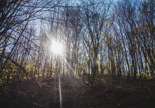 Pogoda na czwartek | W dzień ciepło, ale w nocy i nad ranem uwaga na przymrozki