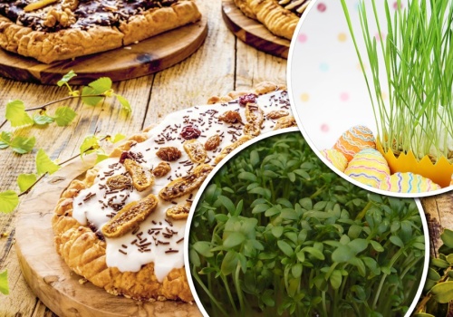 Domowa łąka na wielkanocnym stole będzie prawdziwym hitem! Zielone dekoracje robią furorę w święta