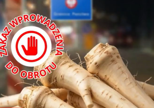 50 ton chrzanu zatrzymane na granicy. IJHARS zaostrza kontrolę importu żywności