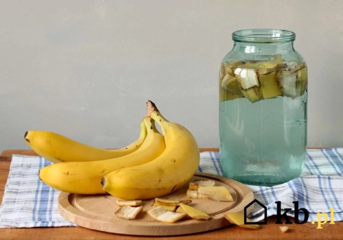 To jeden z najlepszych naturalnych nawozów. Te ze sklepu mogą się schować