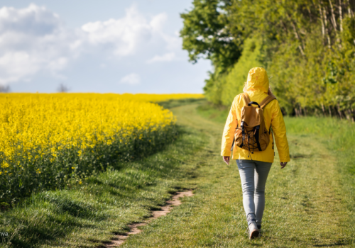Pogoda na maj 2026. Czy majówka nas zaskoczy?