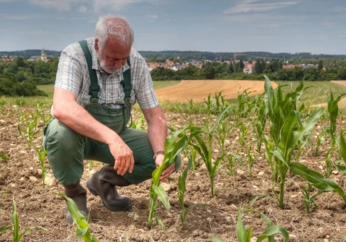 Zadłużone gospodarstwo rolne – czy konsolidacja zobowiązań pomoże wyjść z kryzysu finansowego?