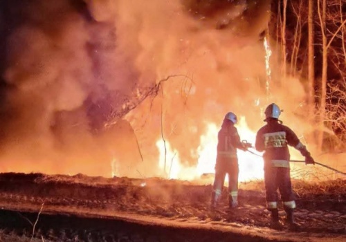 Płonął las. Cztery strażackie zastępy w akcji