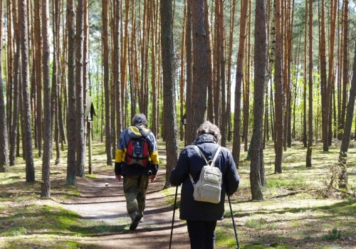 Idealna trasa na wiosenny wypad z Krakowa. Łatwy szlak i piękne panoramy