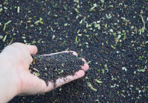 Propozycja wzmocnienia dostaw paliw, przez zwiększenie biokomponentów. Hansen mówił ostatnio, że to dobry kierunek