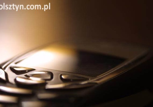 Komórki życie po życiu