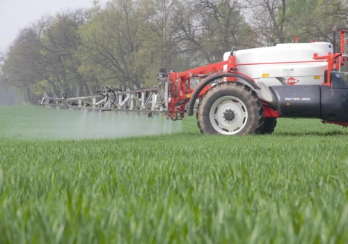 Zabieg T1 w zbożach 2026: kiedy wykonać i jakie fungicydy wybrać?