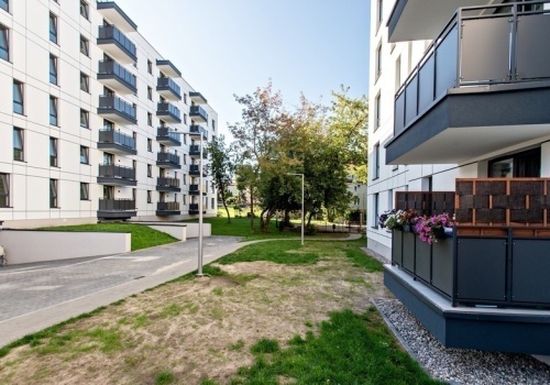 ETBS będzie budowało na Modrzewinie