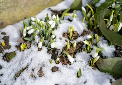 Powtórka sprzed 13 lat? Taka ma być Wielkanoc 2026. Dwa warianty